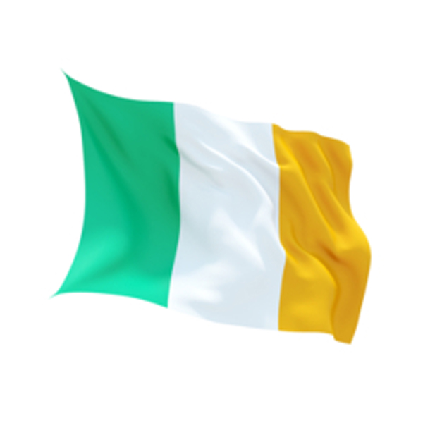 Irische Flagge klein: 80x55cm 